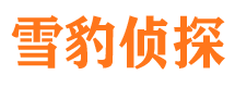 屏南寻人公司